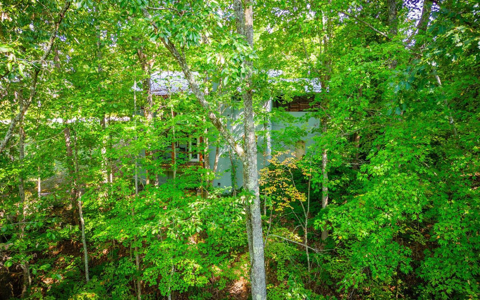 Dollys Getaway Villa Sevierville Eksteriør billede